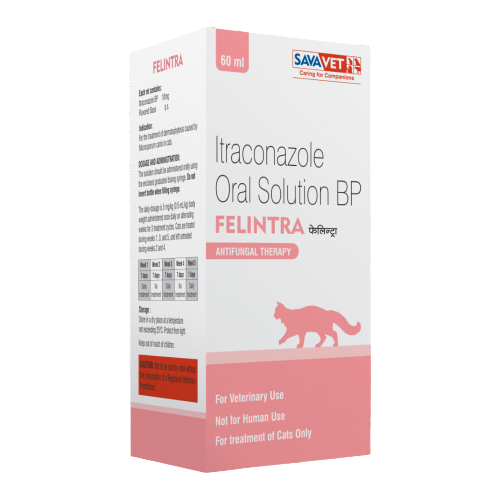 Felintra Syrup